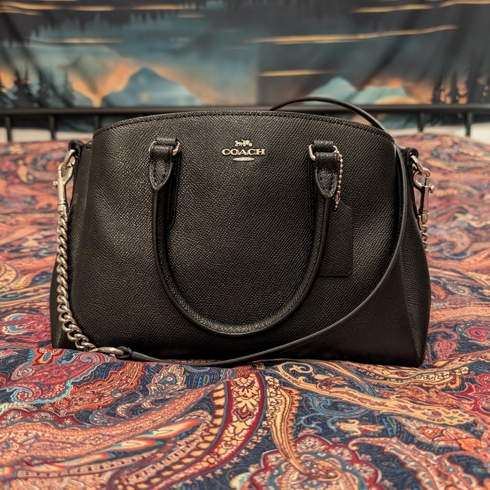 Coach Mini Sage